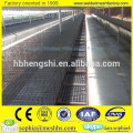 wire mesh mink farm cage with wooden box Anping